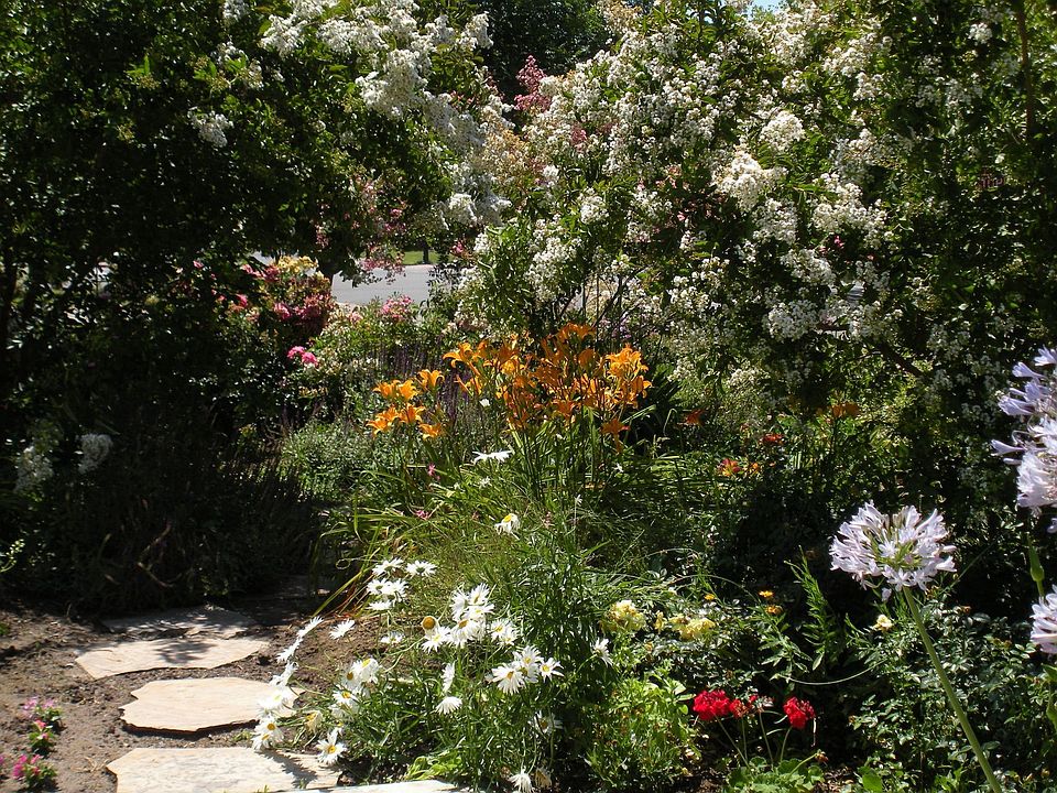 garden walkway