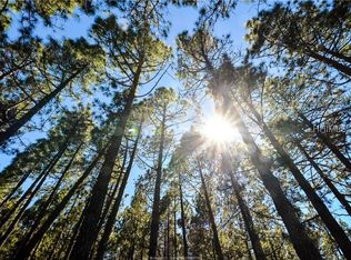 176 Haig Point Rd, Daufuskie Island, SC 29915