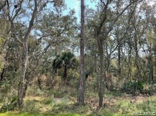 334 N Dunkenfield Ave, Crystal River, FL 34429