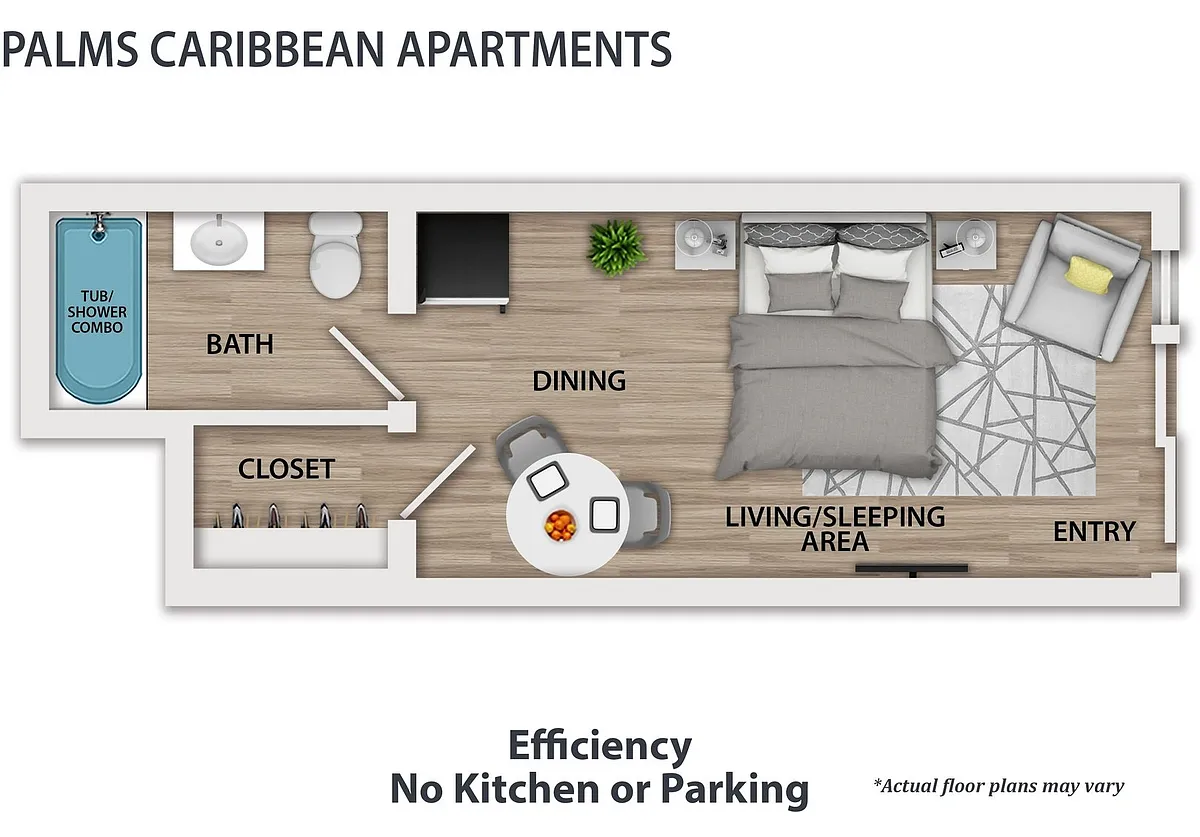 Floor plan Efficiency With No Kitchen Or Parking