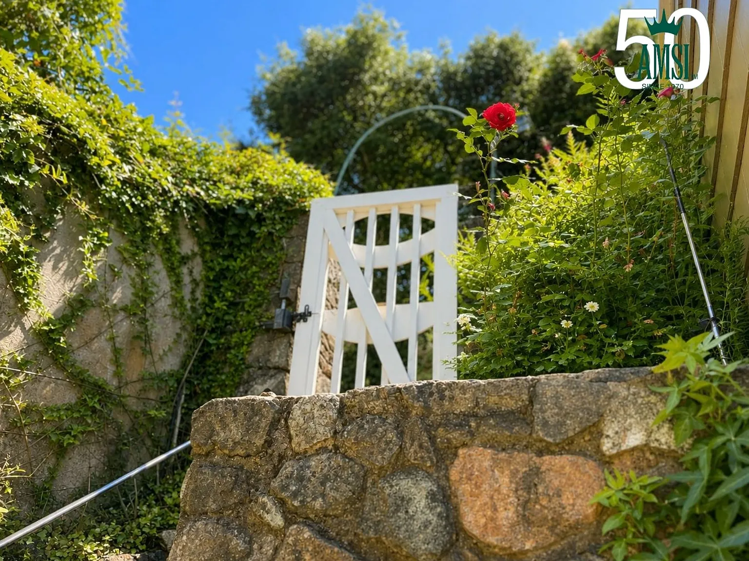Bayview Ave, Belvedere Tiburon — Photo 4