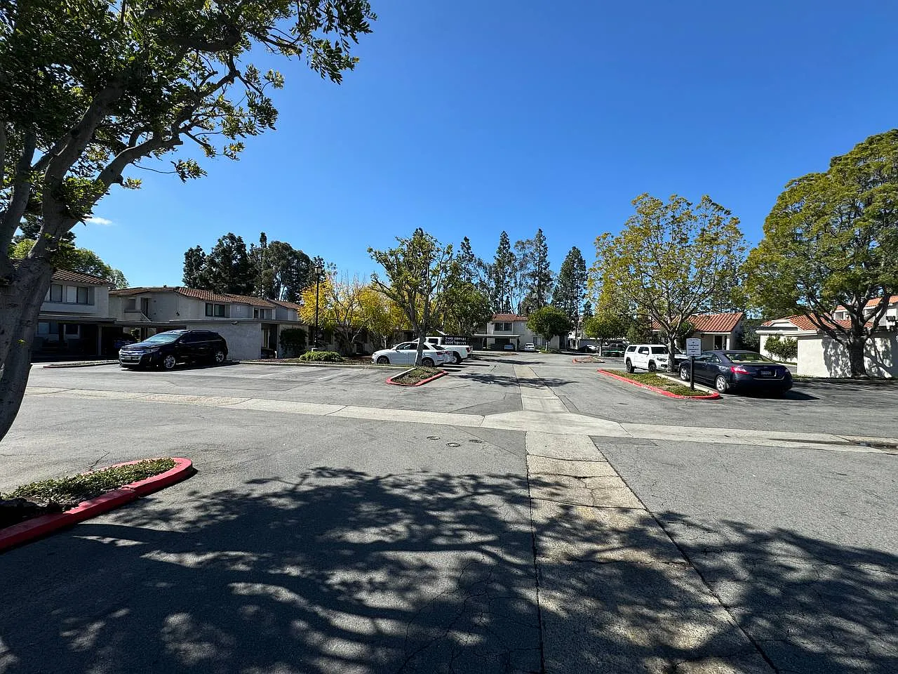 2 bed, $3,000 — Photo 2