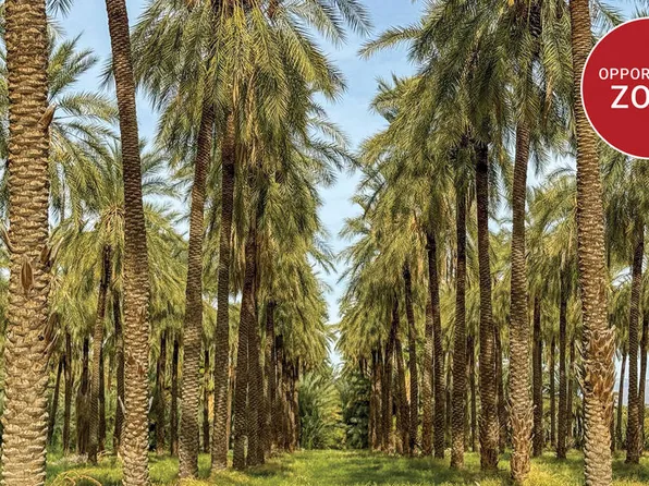 0 Avenue 63, Thermal, CA 92274