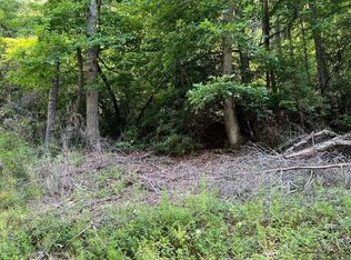 Township Road 1 Fires Creek Cv, Hayesville, NC 28904