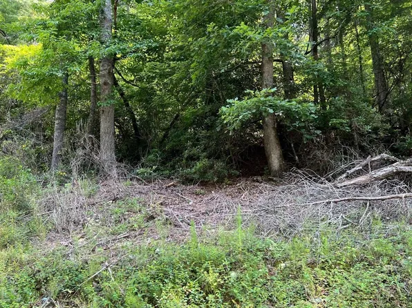 Township Road 1 Fires Creek Cv, Hayesville, NC 28904