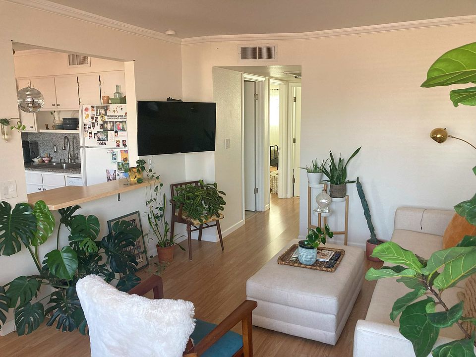 Living Room - past tenant's furniture