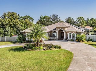 1392 Maximilian Ave, Spring Hill, FL 34609