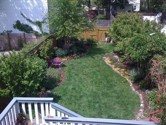 backyard from second story window