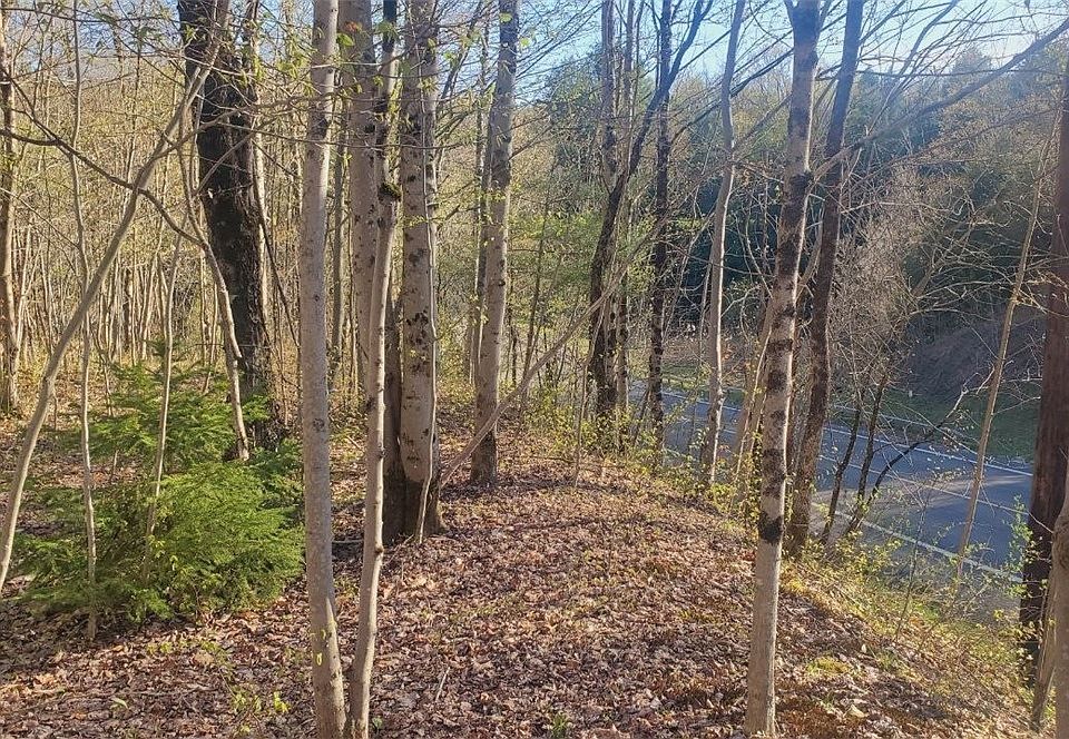 1st image of Walker Rd