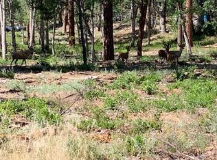 45292 Big Lake Rd, McArthur, CA 96056