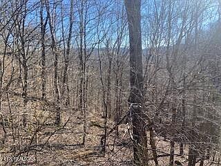 5th image of LOT 875 Clear Water Rd