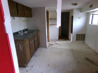 611 Walnut St, Leadwood, MO