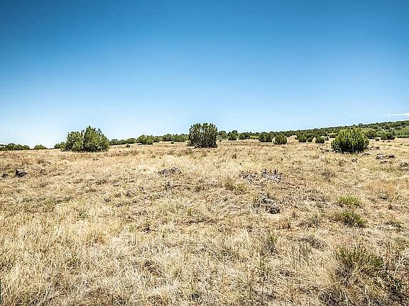 3rd image of LOT 189 County Road 328