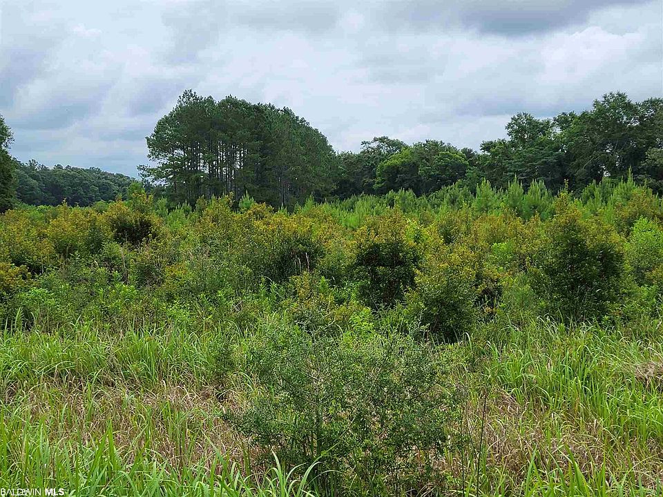 2nd image of Old Brady Rd