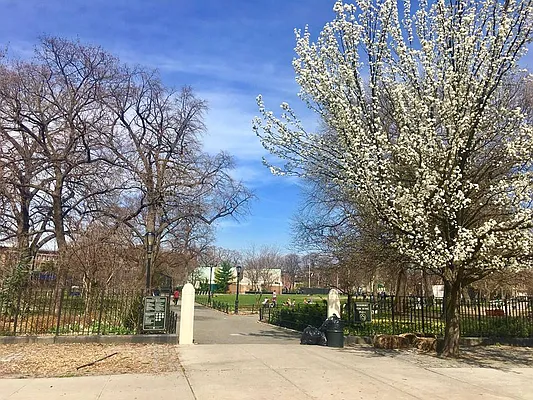 Rented by Manhattan Management LLC | media 89