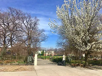 Rented by Manhattan Management LLC