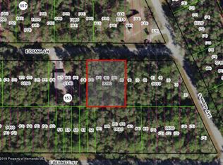 3636 E Diana Ln, Inverness, FL 34453