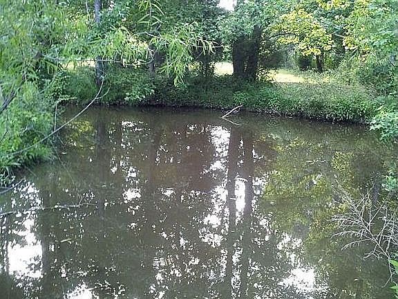 pond
