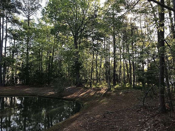 View of rear property line.