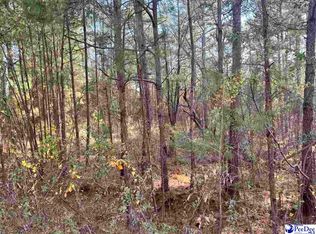 0 Morrison Rd LOT 12A, Hartsville, SC 29550