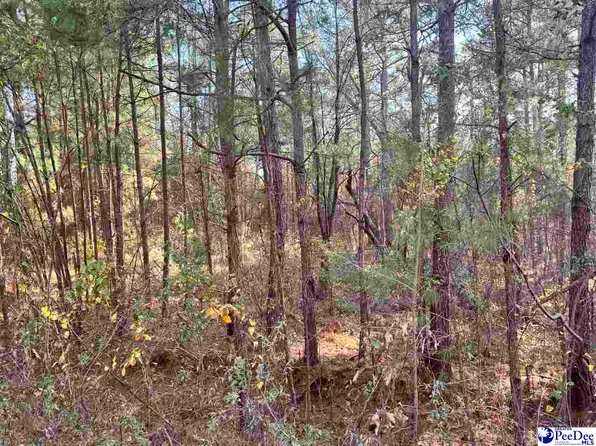 0 Morrison Rd Lot 12A, Hartsville, SC 29550