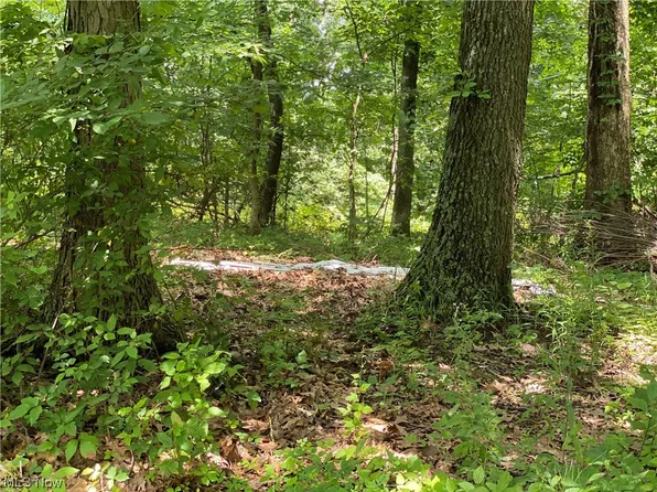 20892 Sixteen School Rd, Wellsville, OH 43968