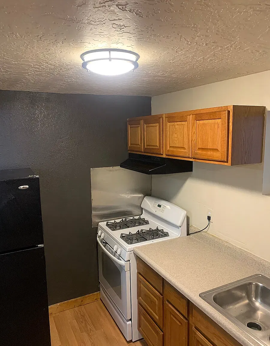 1 bed, $1,200 — Photo 3