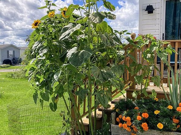 148 A St, Pittsfield, ME 04967