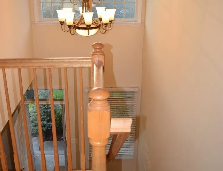 223 Emily Pl — Photo 17