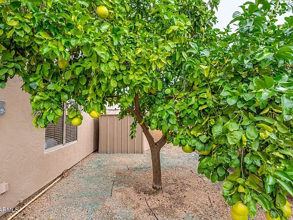 3rd image of 5253 E VILLA RITA Drive