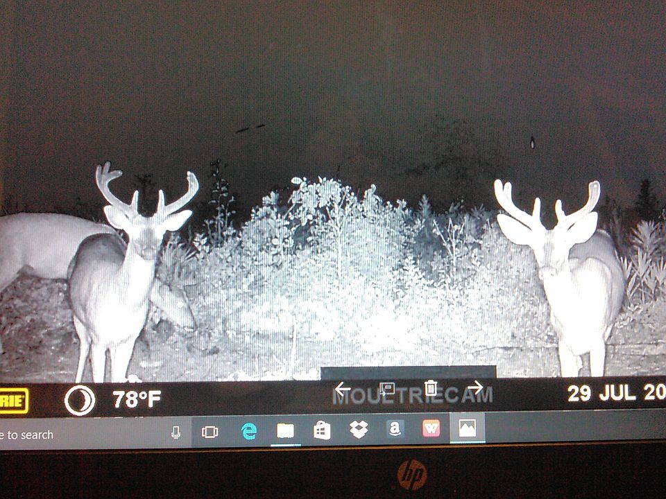 2nd image of Quaker Rd