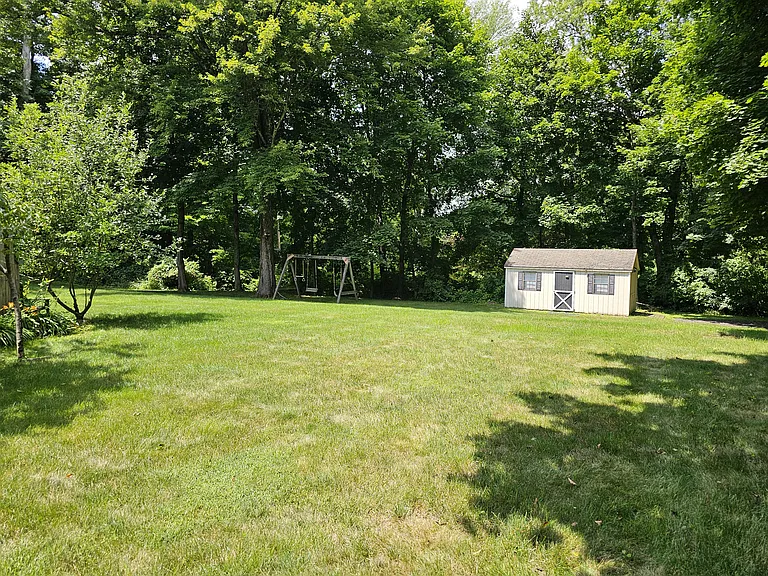 Backyard View 2