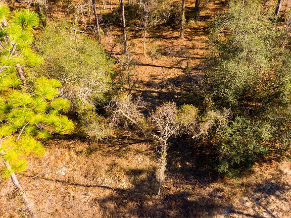 2nd image of 0 SW Commodore Road