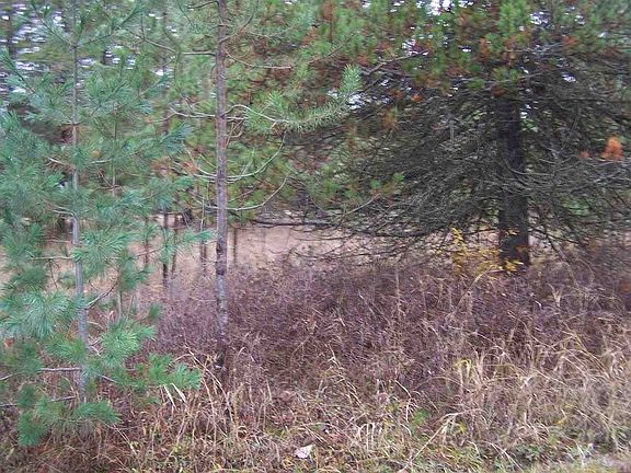 4th image of L19 Munro Dr