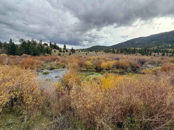 0 Cow Camp Rd, Bancroft, ID 83217