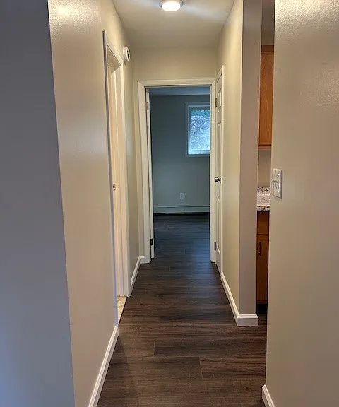 Burnet Park Apartments — Photo 11