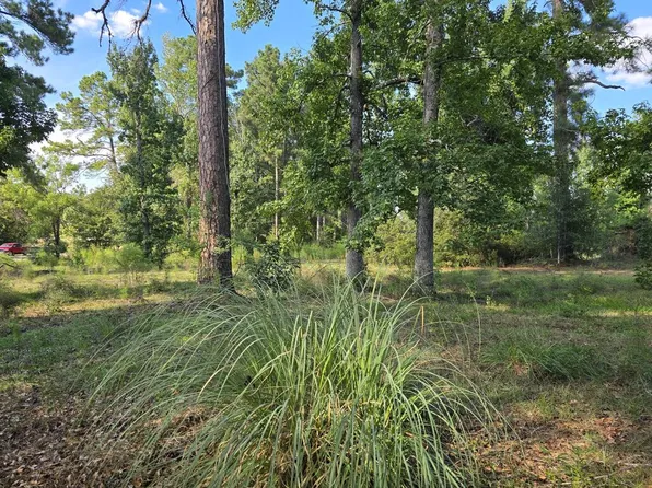 2189 Fm 252, Jasper, TX 75951