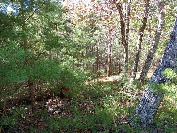 4th image of 2474 Wedgewood Dr #2474