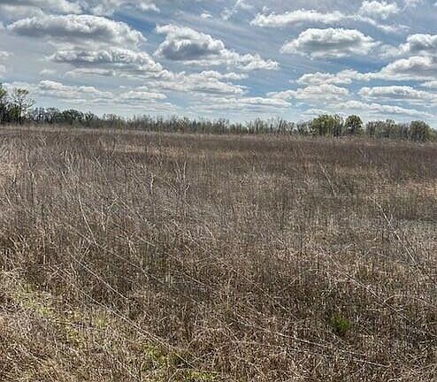 3rd image of Majors Ln Lot 6