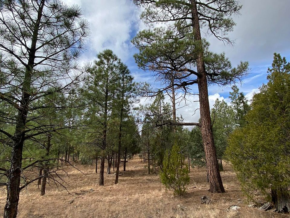 4395 Jack Pine Pl, Happy Jack, AZ 86024 Zillow