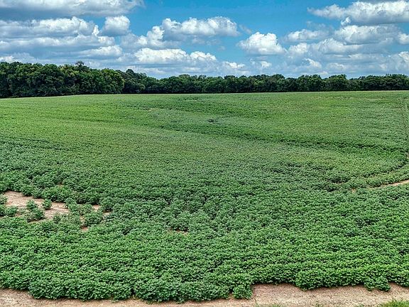 5th image of 4999 Ben Smith Rd