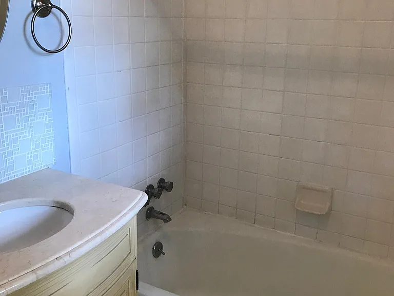 Master bath tub area with second sink