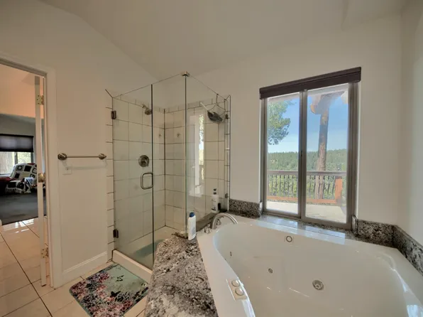 19015 Pine Dr E, Pioneer, CA 95666