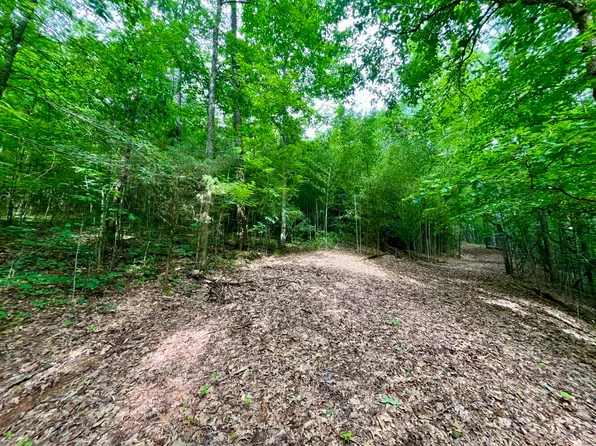 1317 Sunhill Rd, Birmingham, AL 35215