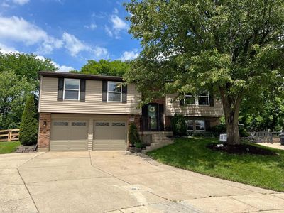 219 Assisiknoll Ct, Cincinnati, OH, 45238