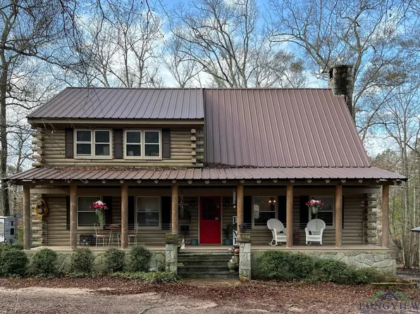 2787 Zinnia Rd, Diana, TX 75640