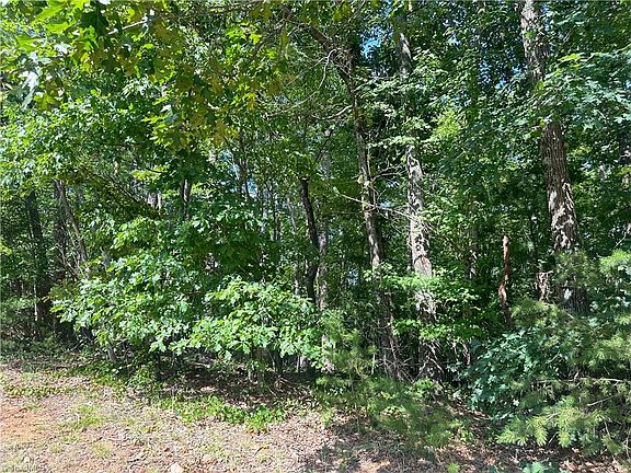 5th image of 0 John Byrd Rd