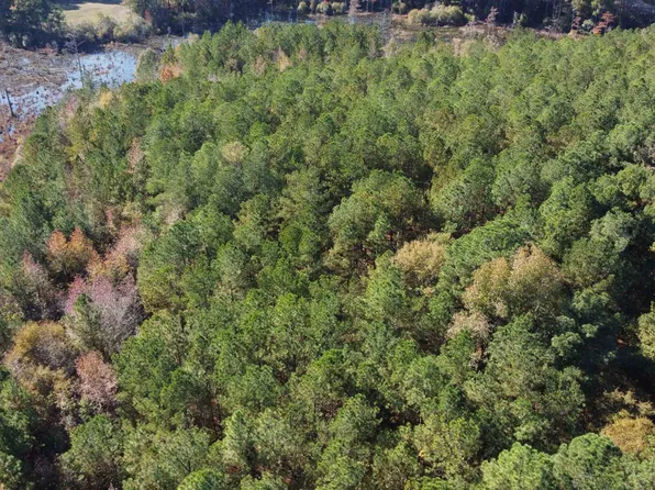 6 Johnsonville School Rd Lot 6, Cameron, NC 28326