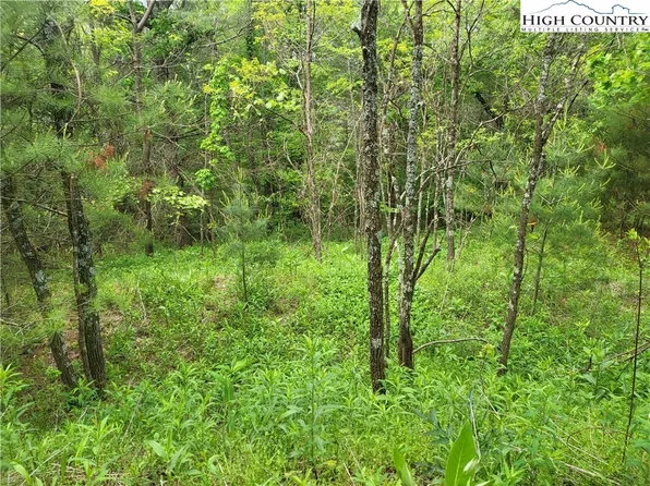 TBD Round Knob Church Road, Glendale Springs, NC 28694