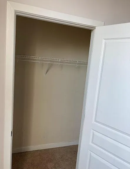 Owner's suite closet